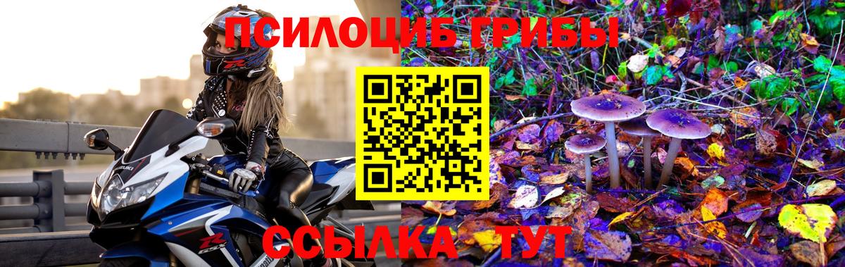 Псилоцибиновые грибы Psilocybine cubensis Белореченск